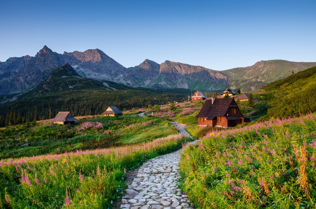 b198983_polska_dolina_gasienicowa_tatry